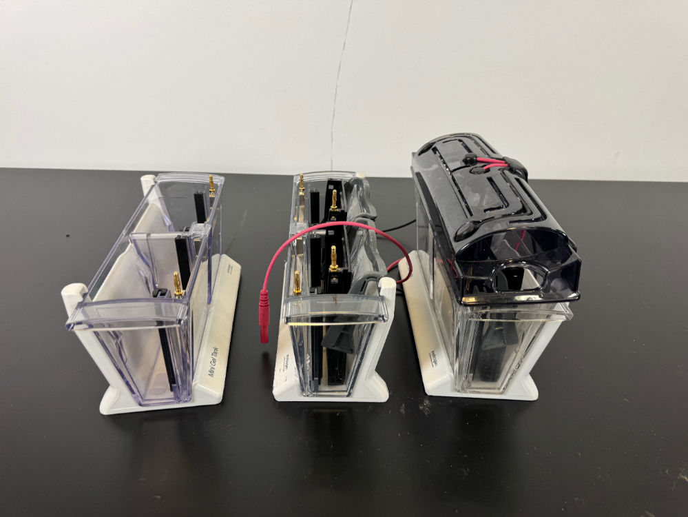 Image of Invitrogen Mini Gel Tanks - Quantity 3